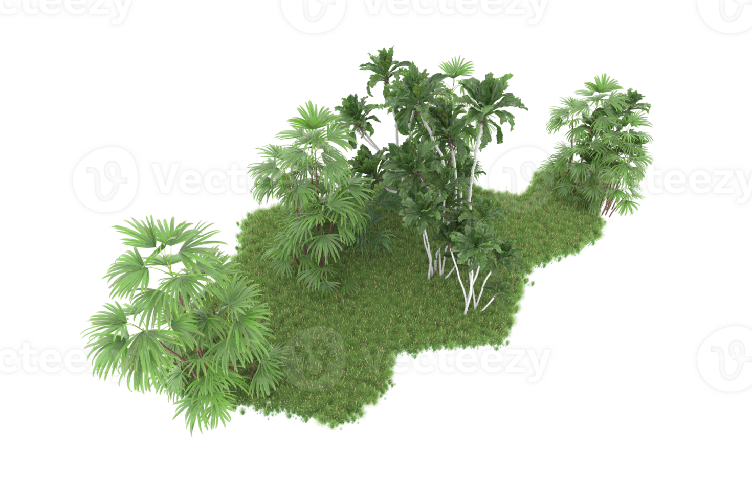 Realistic forest isolated on transparent background. 3d rendering - illustration png