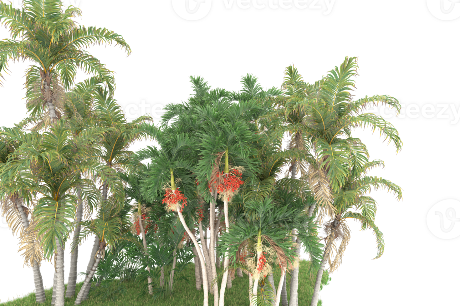 Realistic forest isolated on transparent background. 3d rendering - illustration png