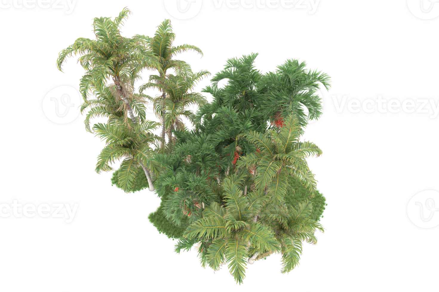 Realistic forest isolated on transparent background. 3d rendering - illustration png