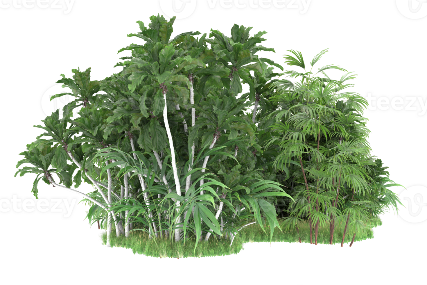 Realistic forest isolated on transparent background. 3d rendering - illustration png