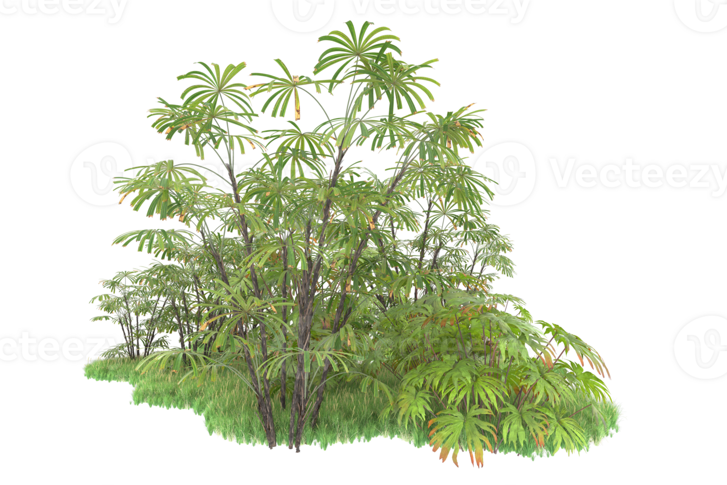 Realistic forest isolated on transparent background. 3d rendering - illustration png