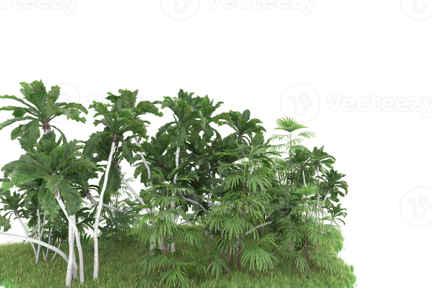 Realistic forest isolated on transparent background. 3d rendering - illustration png