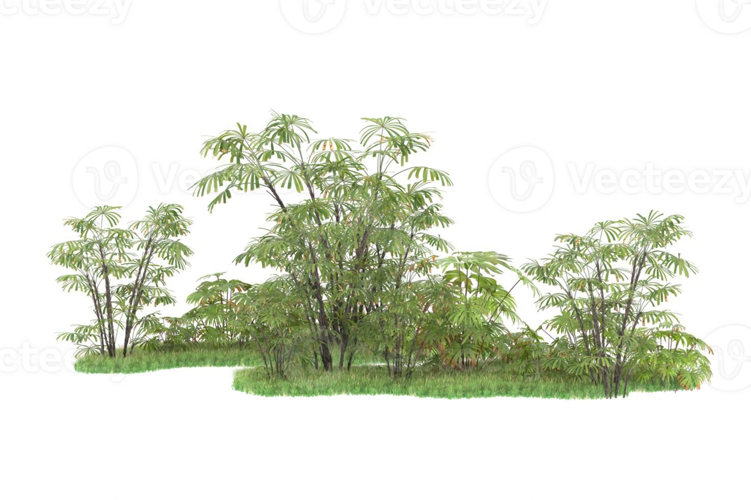 Realistic forest isolated on transparent background. 3d rendering - illustration png