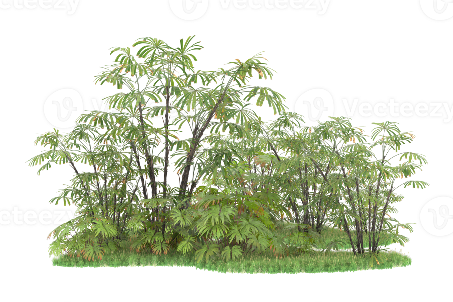 Realistic forest isolated on transparent background. 3d rendering - illustration png