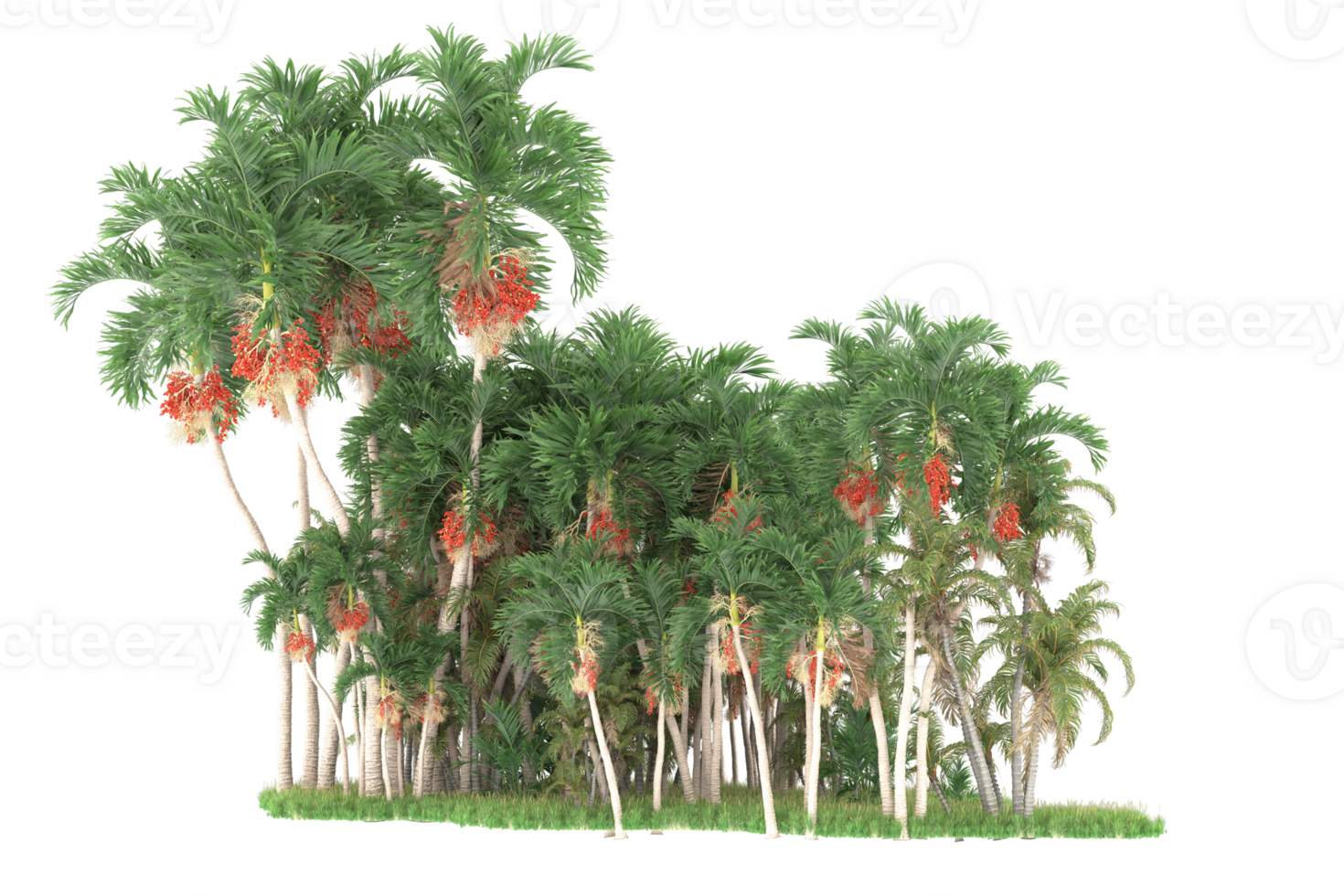 Realistic forest isolated on transparent background. 3d rendering - illustration png