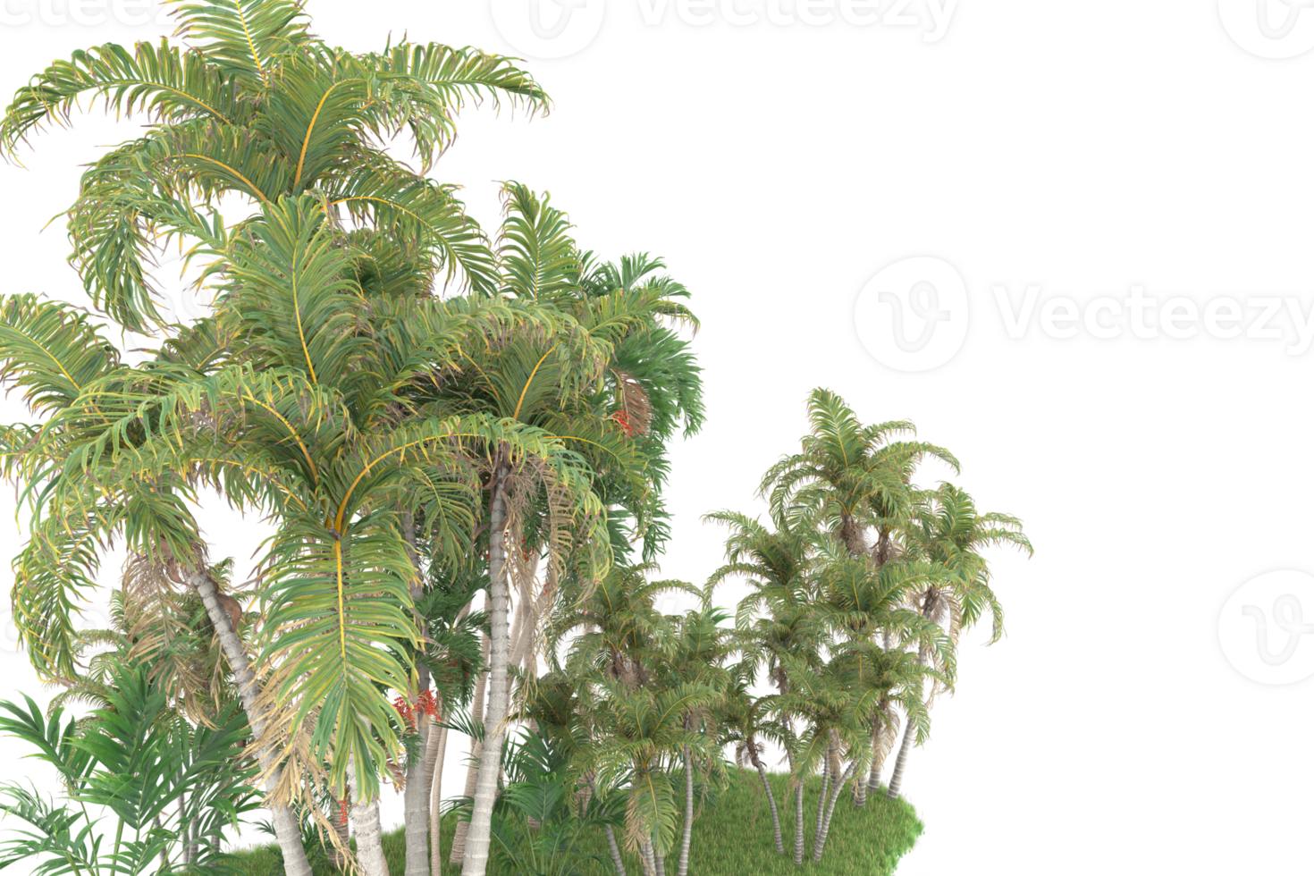 Realistic forest isolated on transparent background. 3d rendering - illustration png