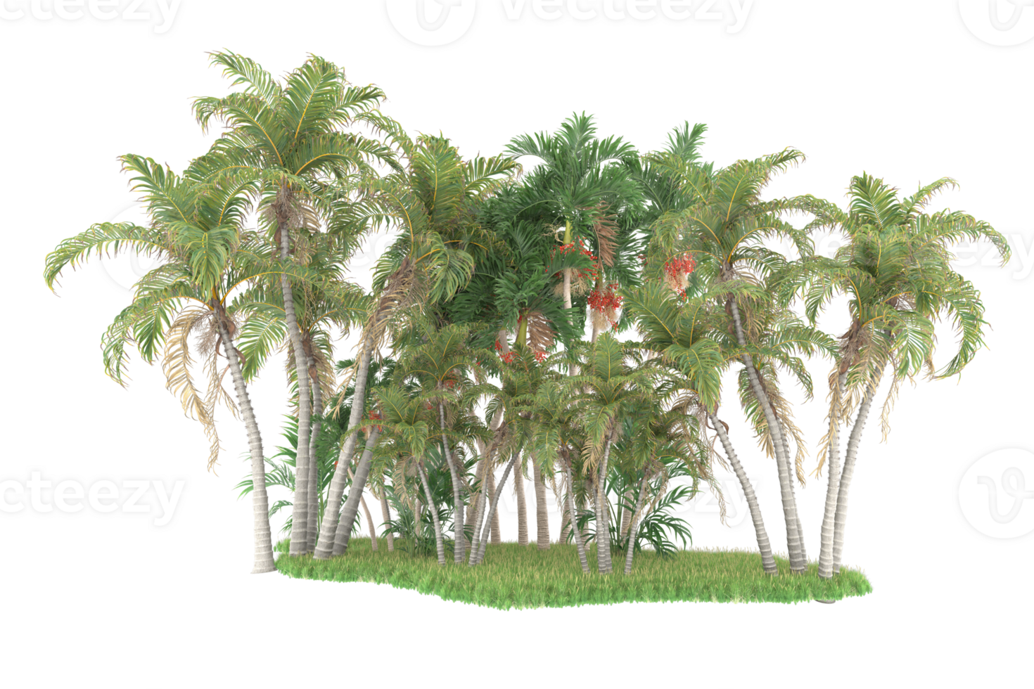 Realistic forest isolated on transparent background. 3d rendering - illustration png