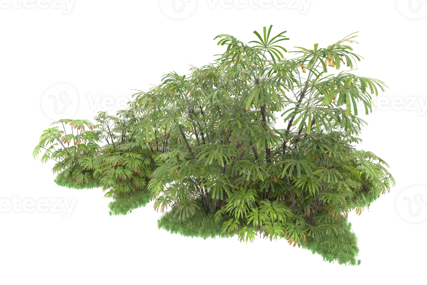 Realistic forest isolated on transparent background. 3d rendering - illustration png