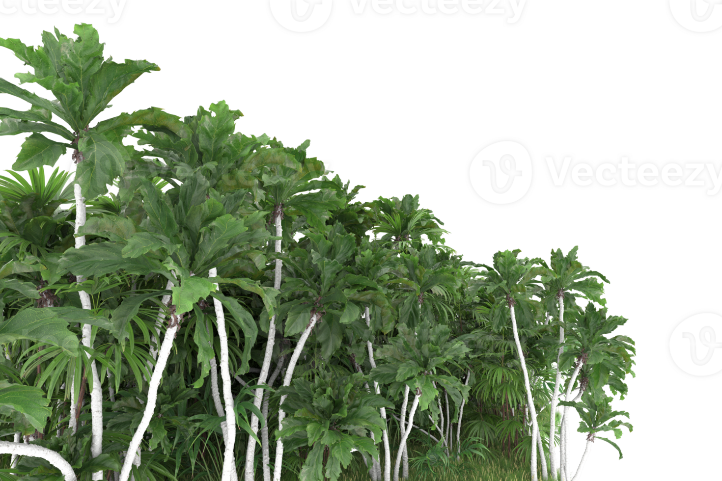 Realistic forest isolated on transparent background. 3d rendering - illustration png