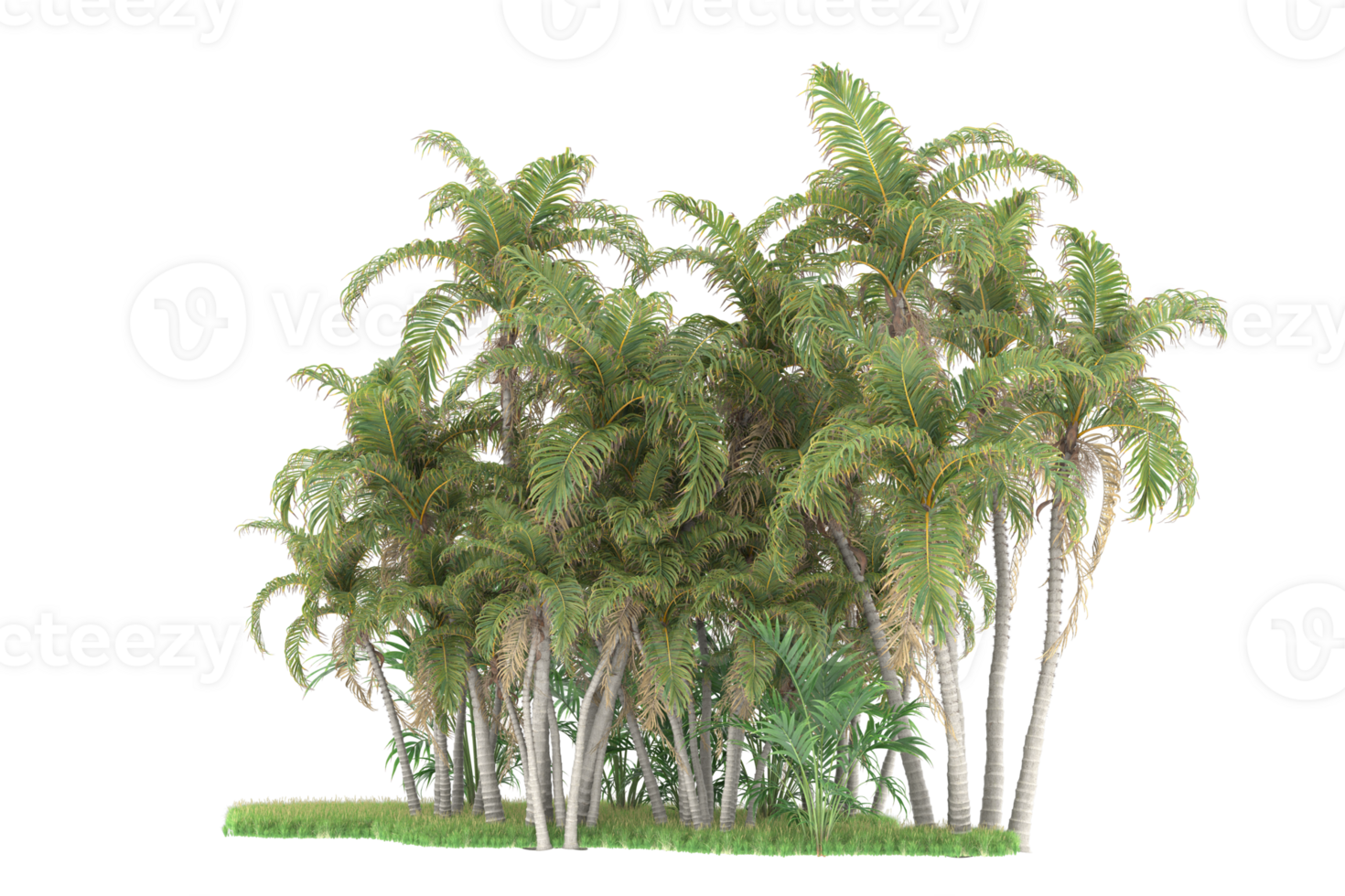 Realistic forest isolated on transparent background. 3d rendering - illustration png