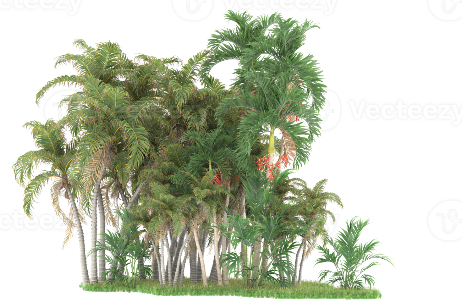 Realistic forest isolated on transparent background. 3d rendering - illustration png
