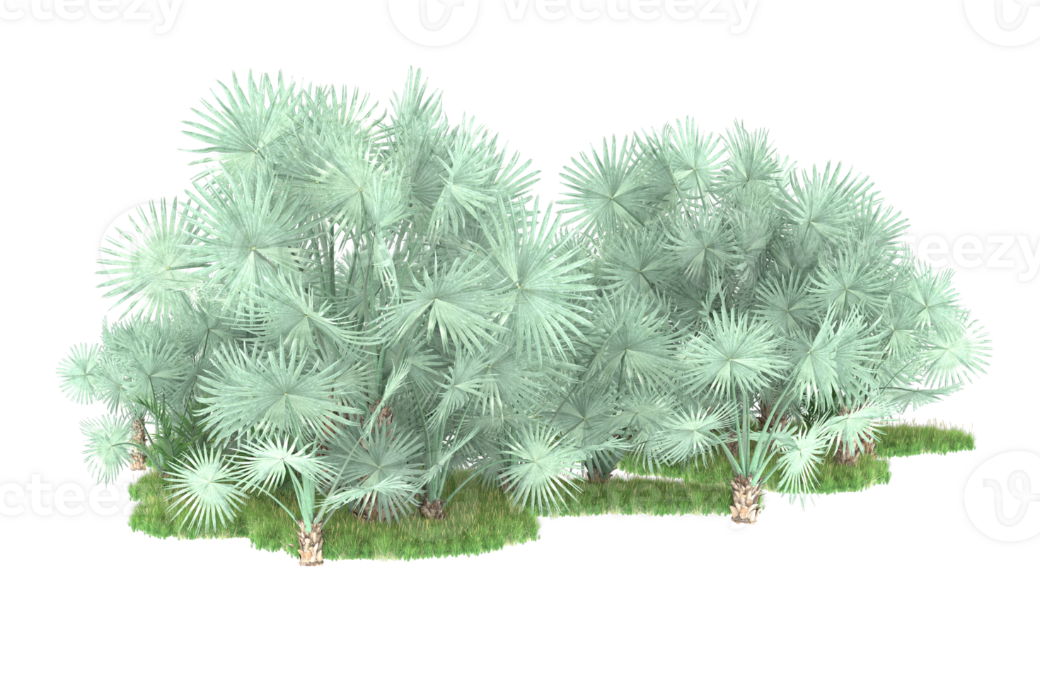 Realistic forest isolated on transparent background. 3d rendering - illustration png
