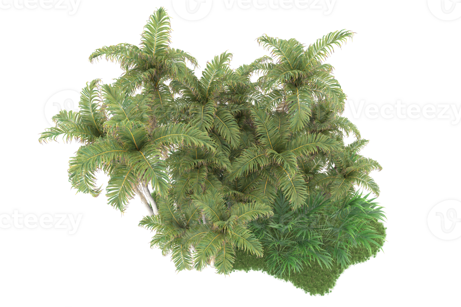 Realistic forest isolated on transparent background. 3d rendering - illustration png