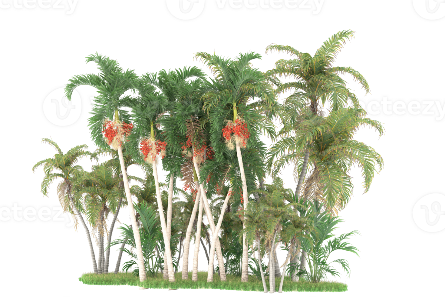 Realistic forest isolated on transparent background. 3d rendering - illustration png