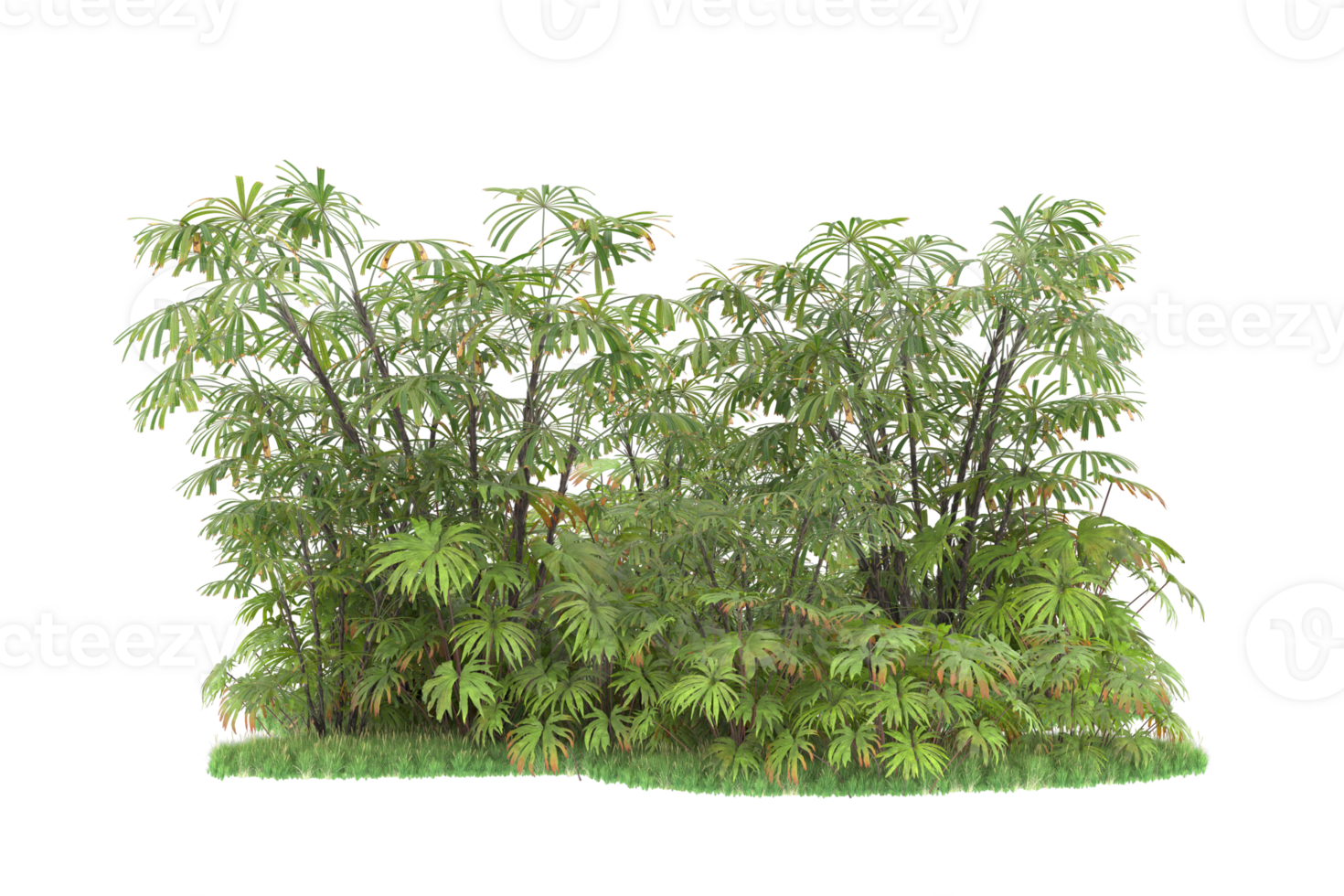 Realistic forest isolated on transparent background. 3d rendering - illustration png
