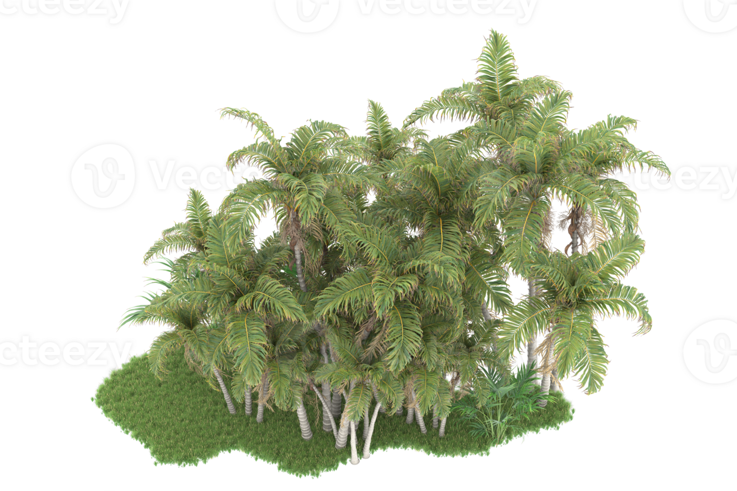 Realistic forest isolated on transparent background. 3d rendering - illustration png