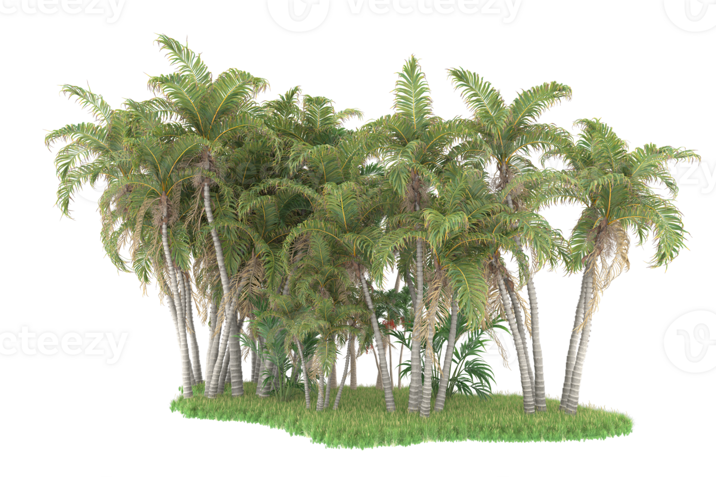 Realistic forest isolated on transparent background. 3d rendering - illustration png