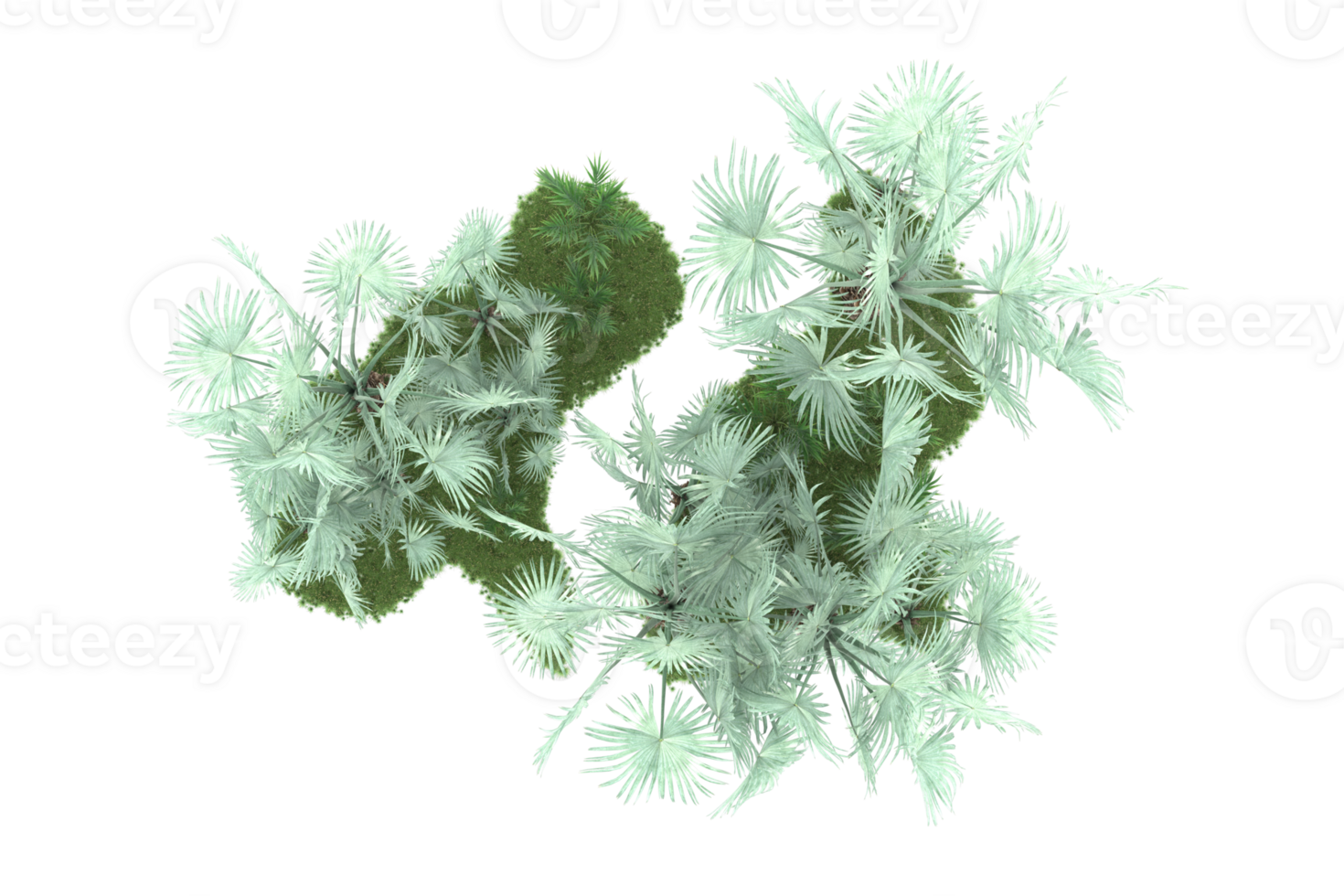 Realistic forest isolated on transparent background. 3d rendering - illustration png