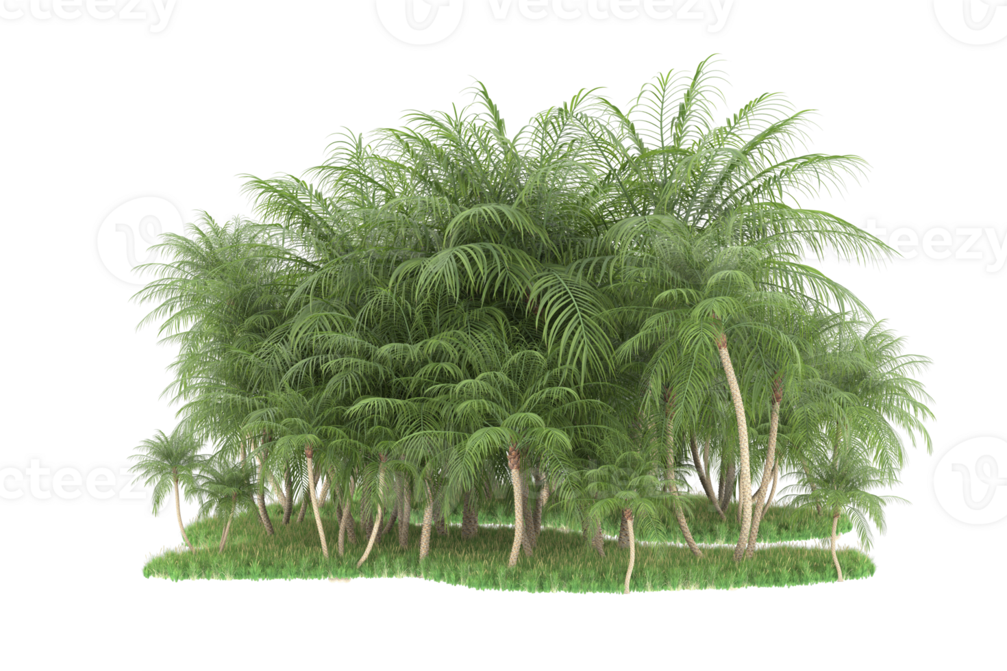 Realistic forest isolated on transparent background. 3d rendering - illustration png