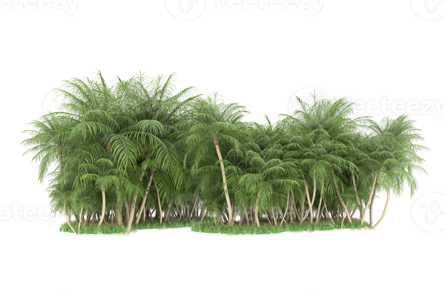 Realistic forest isolated on transparent background. 3d rendering - illustration png