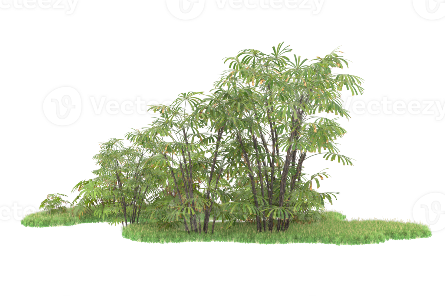 Realistic forest isolated on transparent background. 3d rendering - illustration png
