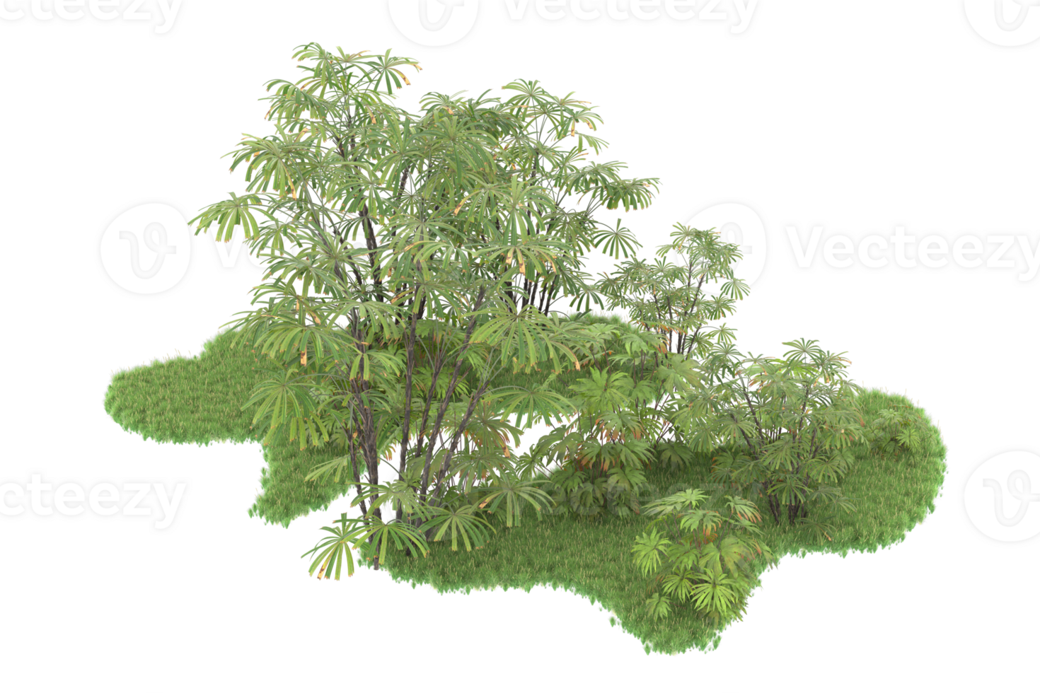 Realistic forest isolated on transparent background. 3d rendering - illustration png