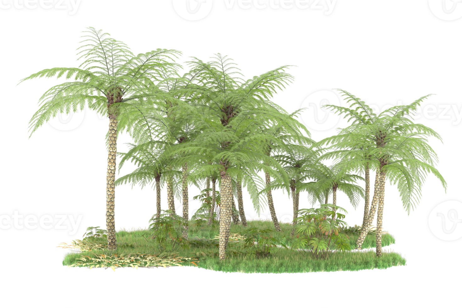 Realistic forest isolated on transparent background. 3d rendering - illustration png