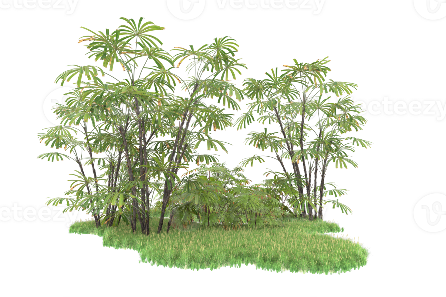 Realistic forest isolated on transparent background. 3d rendering - illustration png