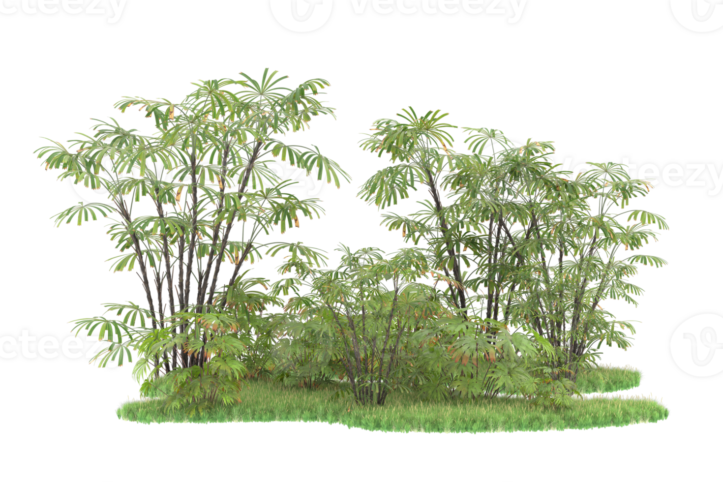 Realistic forest isolated on transparent background. 3d rendering - illustration png