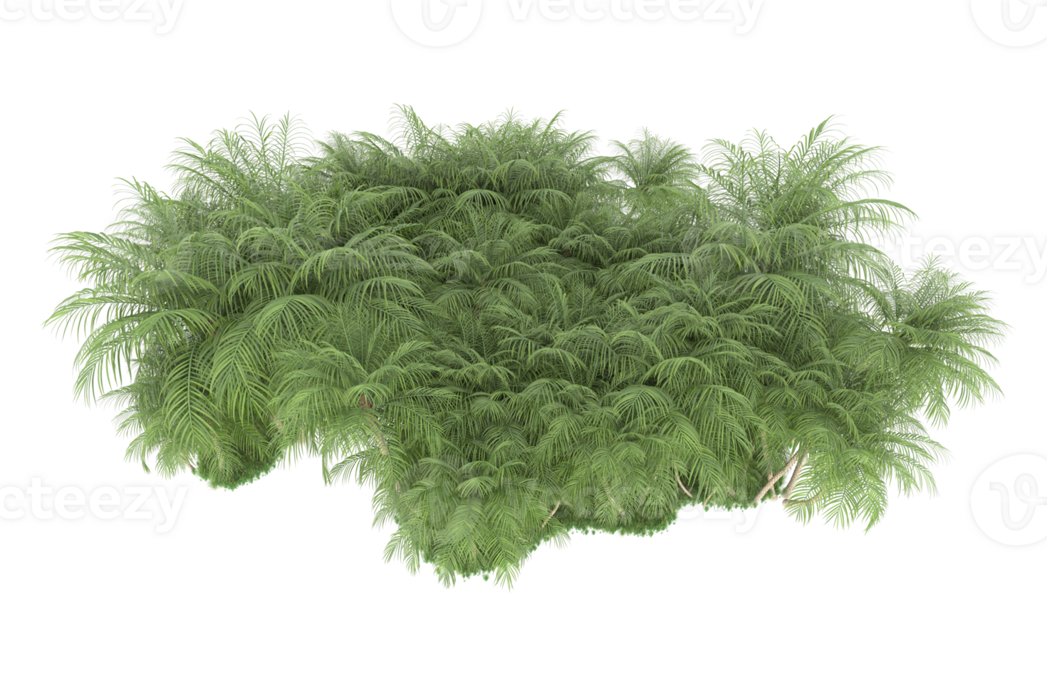 Realistic forest isolated on transparent background. 3d rendering - illustration png