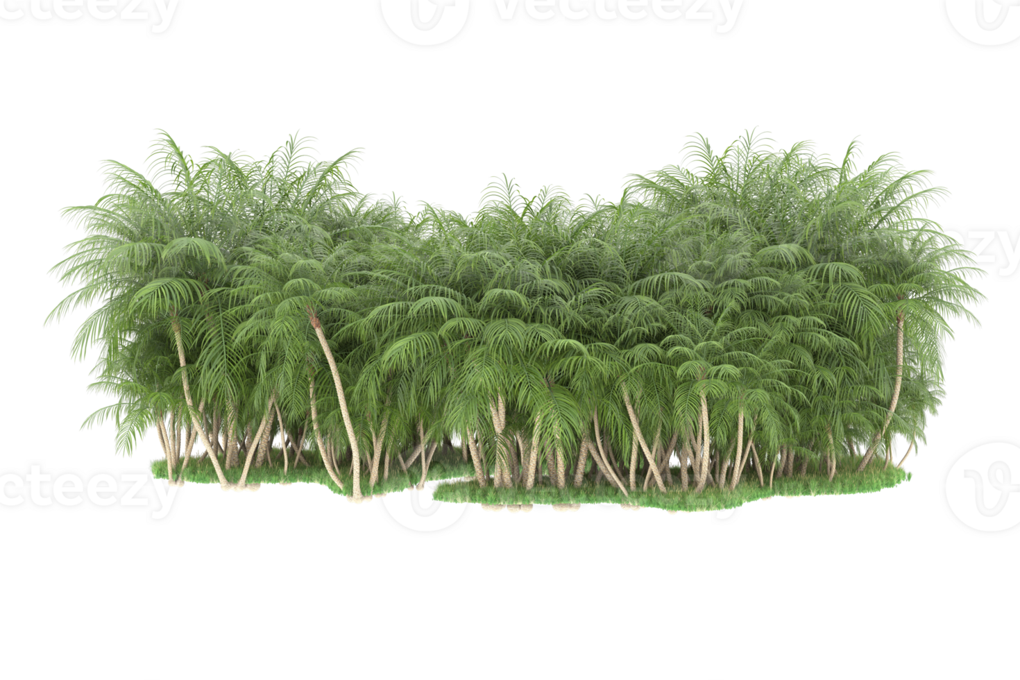 Realistic forest isolated on transparent background. 3d rendering - illustration png