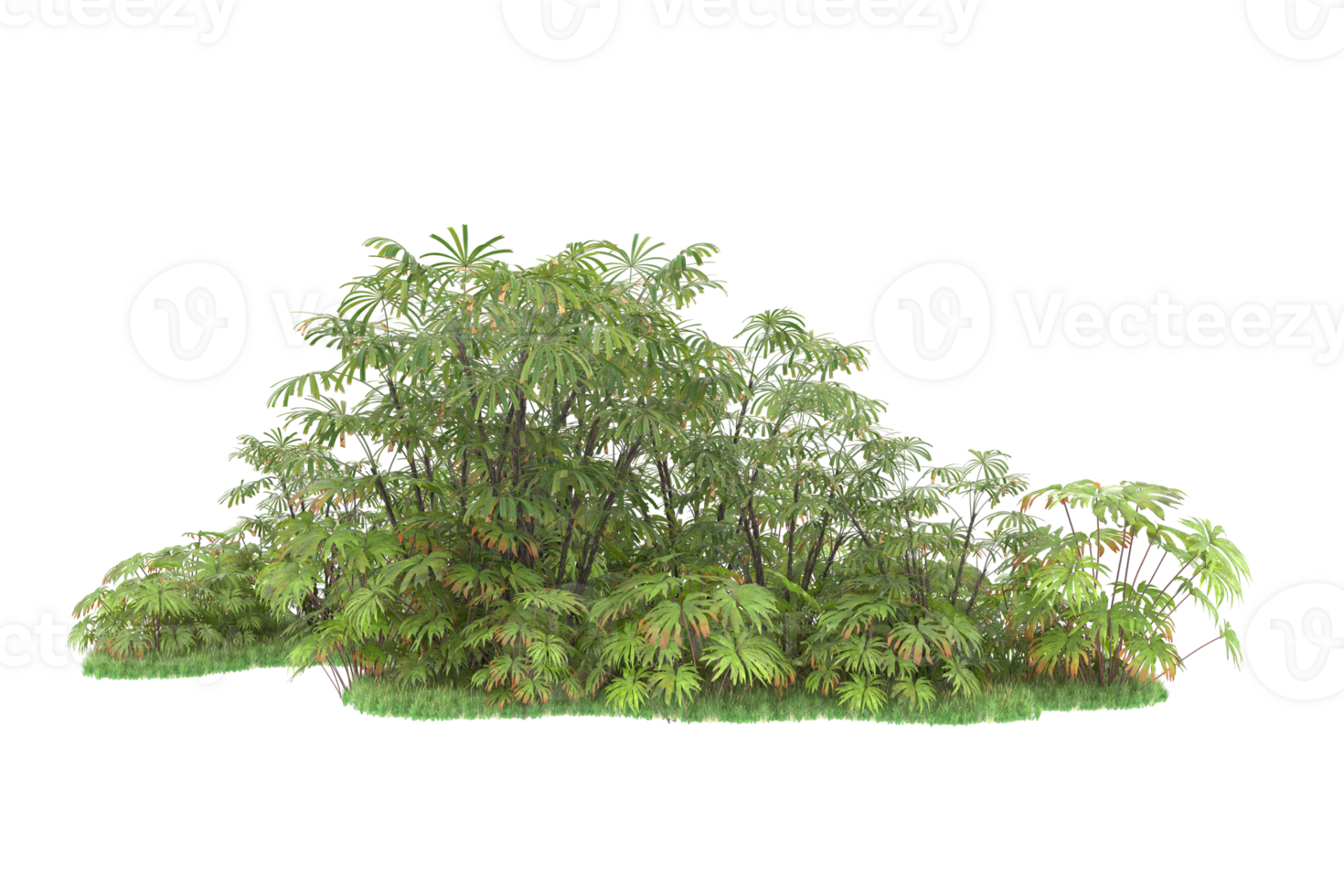 Realistic forest isolated on transparent background. 3d rendering - illustration png