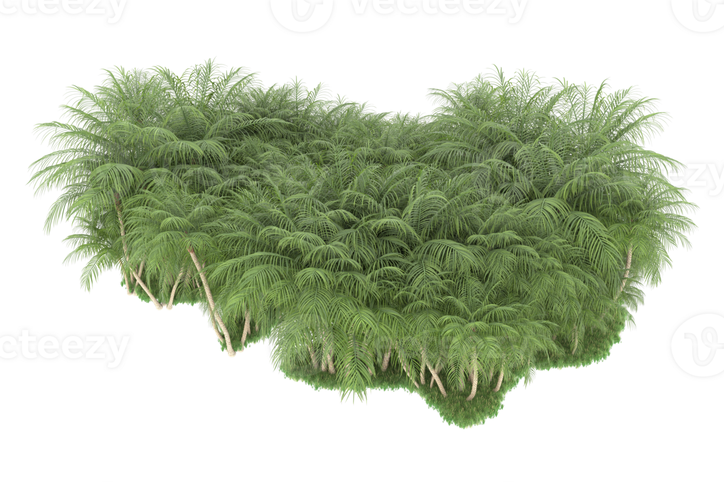 Realistic forest isolated on transparent background. 3d rendering - illustration png