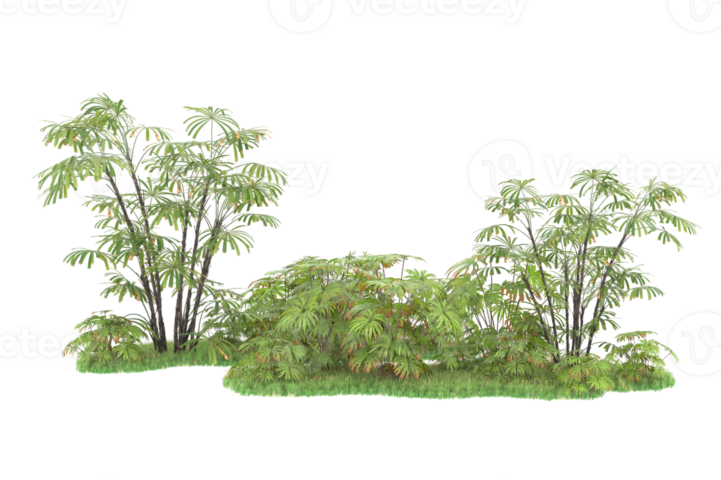Realistic forest isolated on transparent background. 3d rendering - illustration png