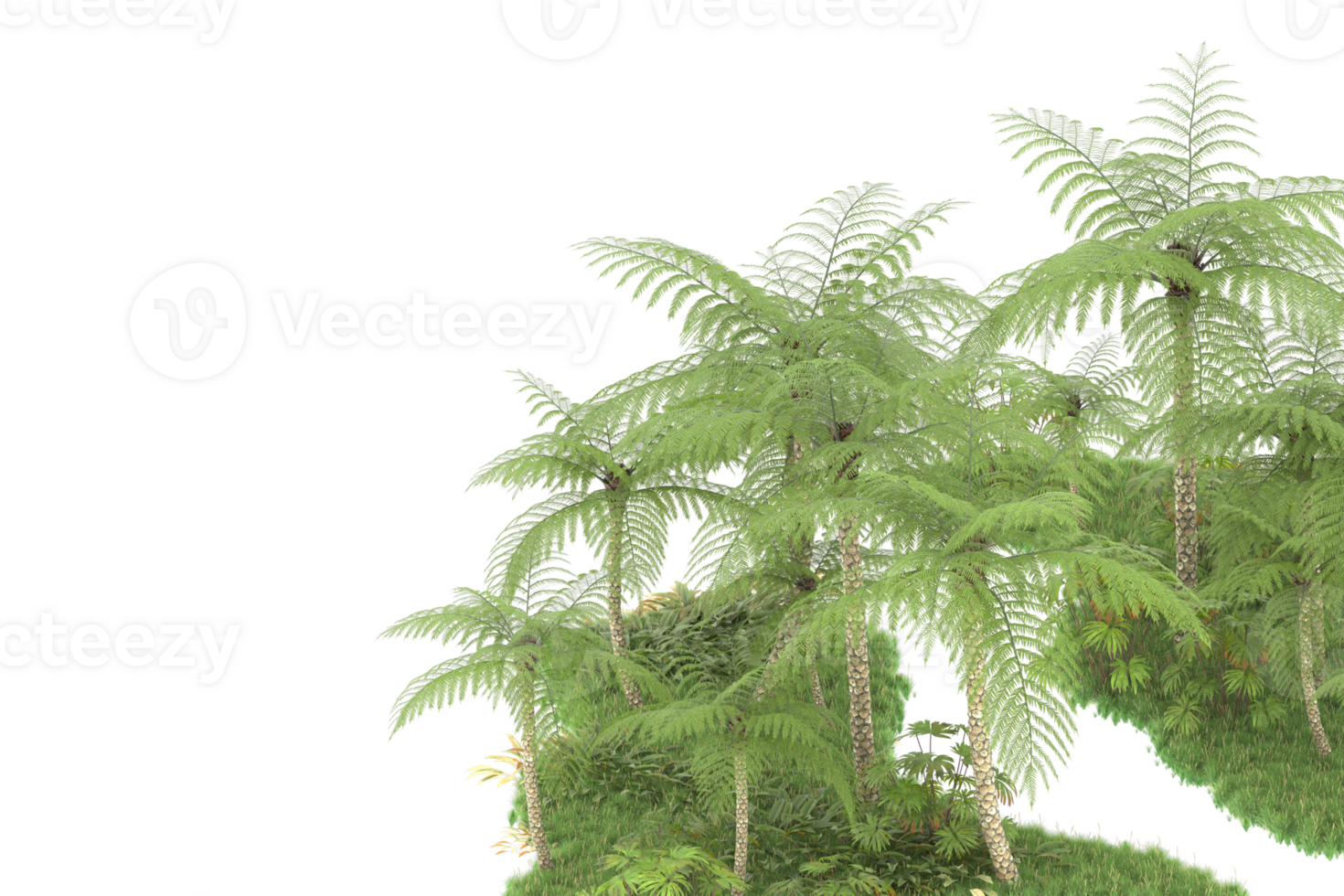 Realistic forest isolated on transparent background. 3d rendering - illustration png