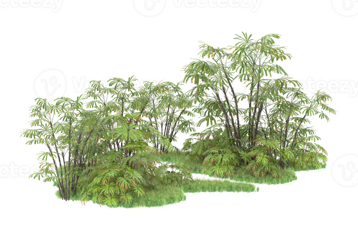 Realistic forest isolated on transparent background. 3d rendering - illustration png