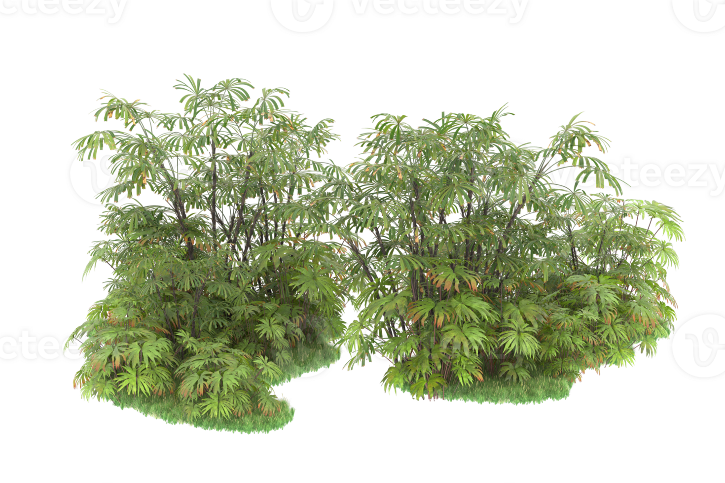 Realistic forest isolated on transparent background. 3d rendering - illustration png