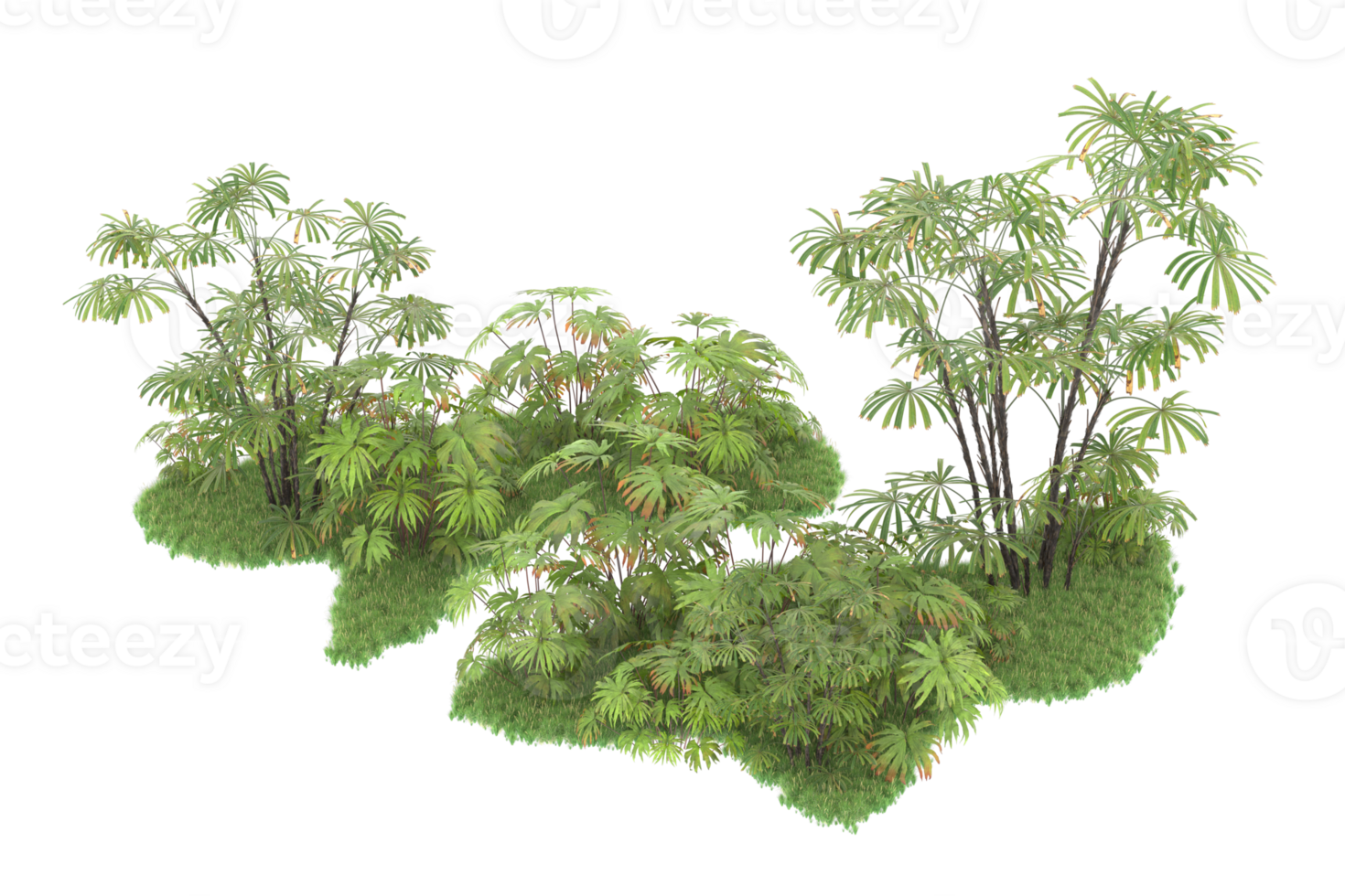 Realistic forest isolated on transparent background. 3d rendering - illustration png