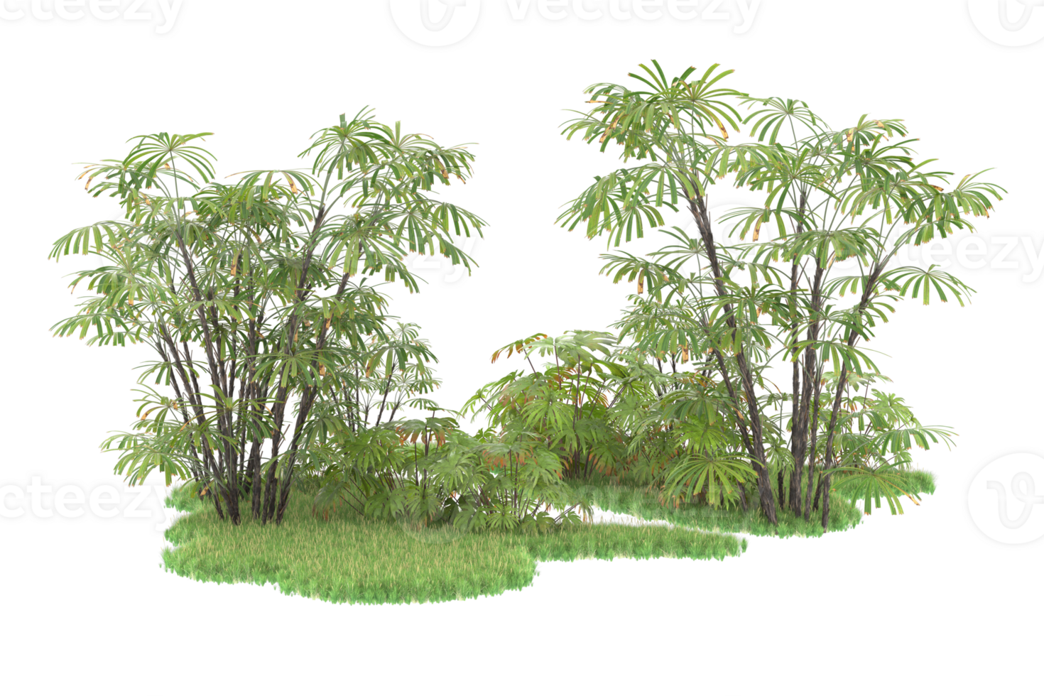 Realistic forest isolated on transparent background. 3d rendering - illustration png