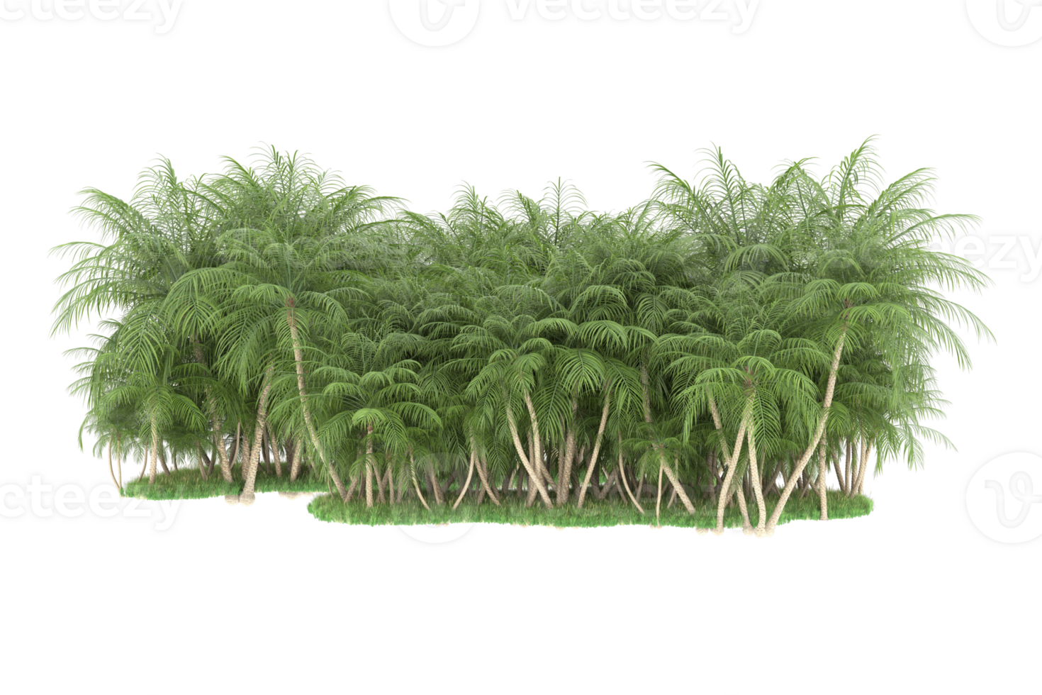 Realistic forest isolated on transparent background. 3d rendering - illustration png