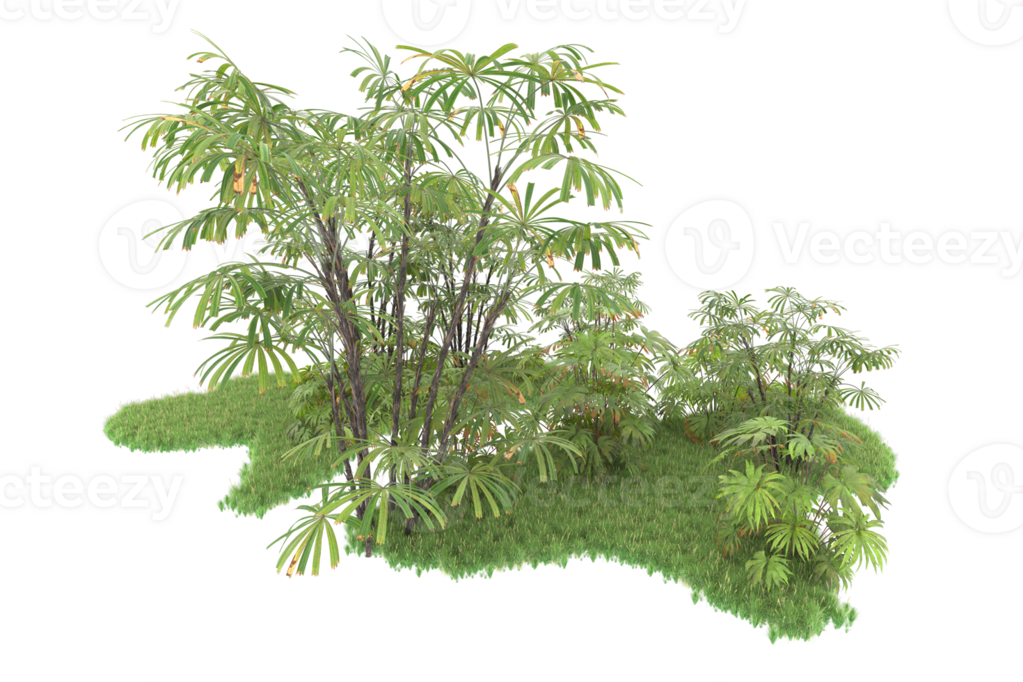 Realistic forest isolated on transparent background. 3d rendering - illustration png