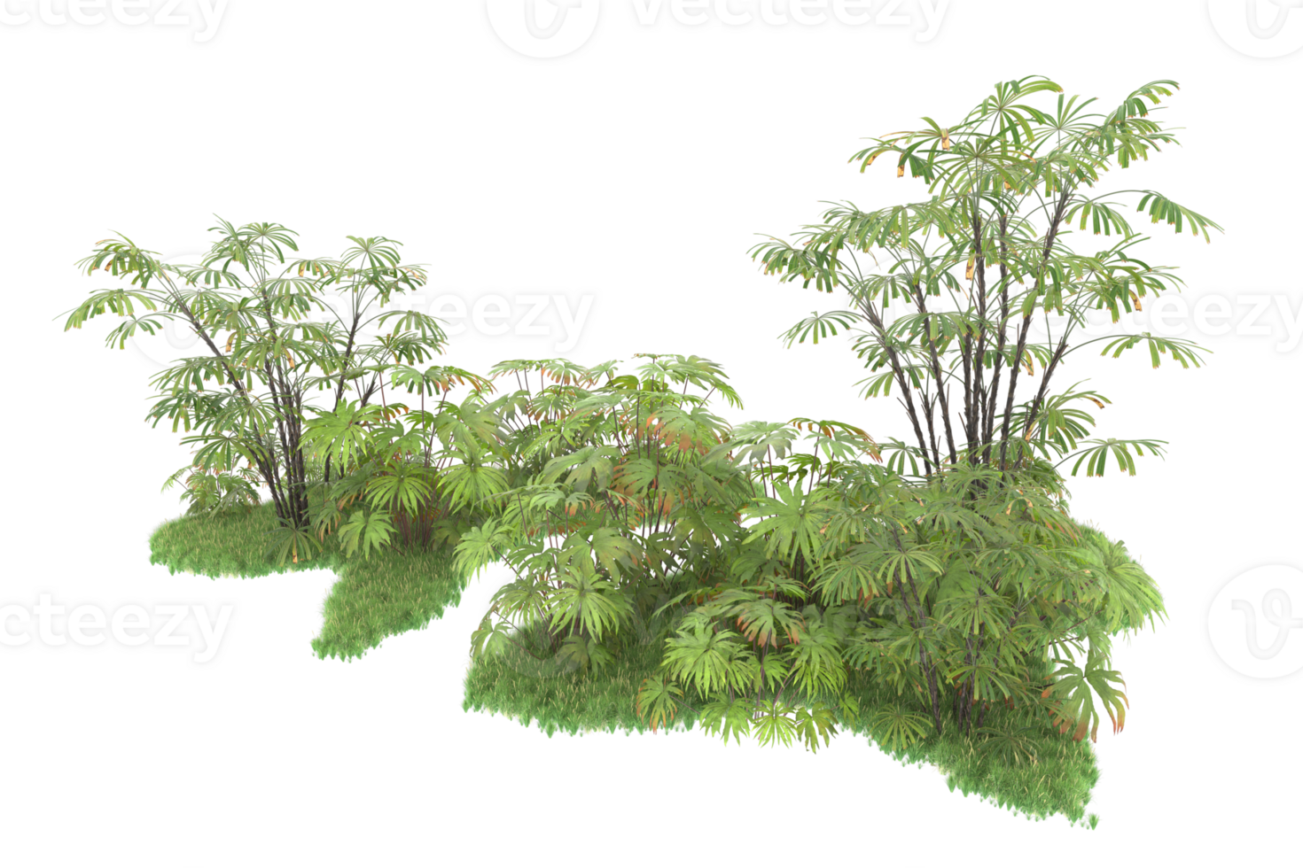 Realistic forest isolated on transparent background. 3d rendering - illustration png