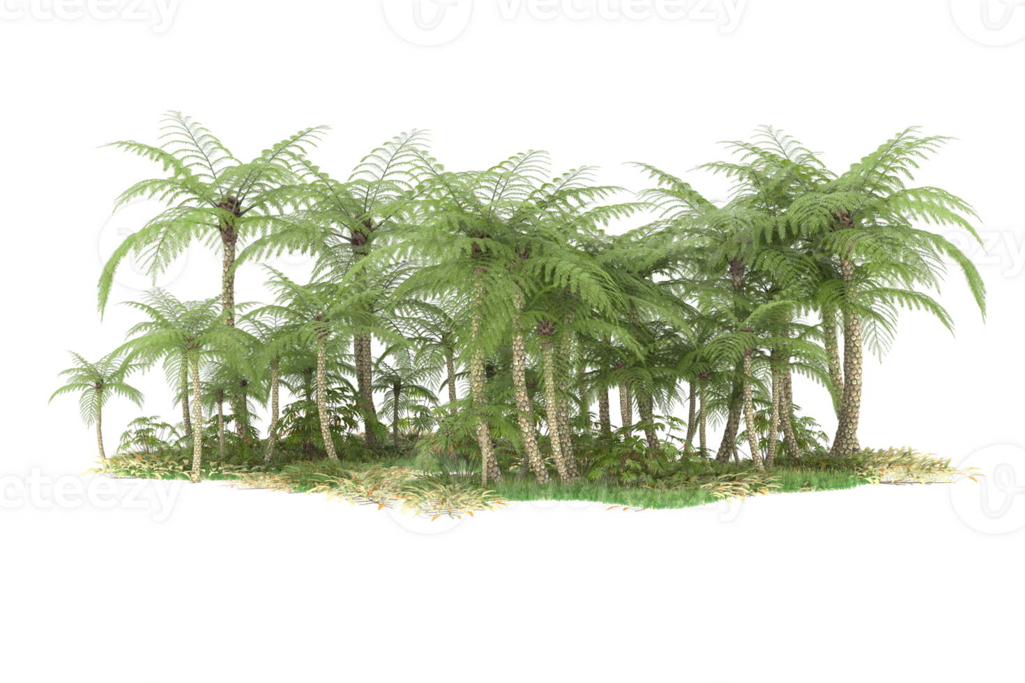 Realistic forest isolated on transparent background. 3d rendering - illustration png