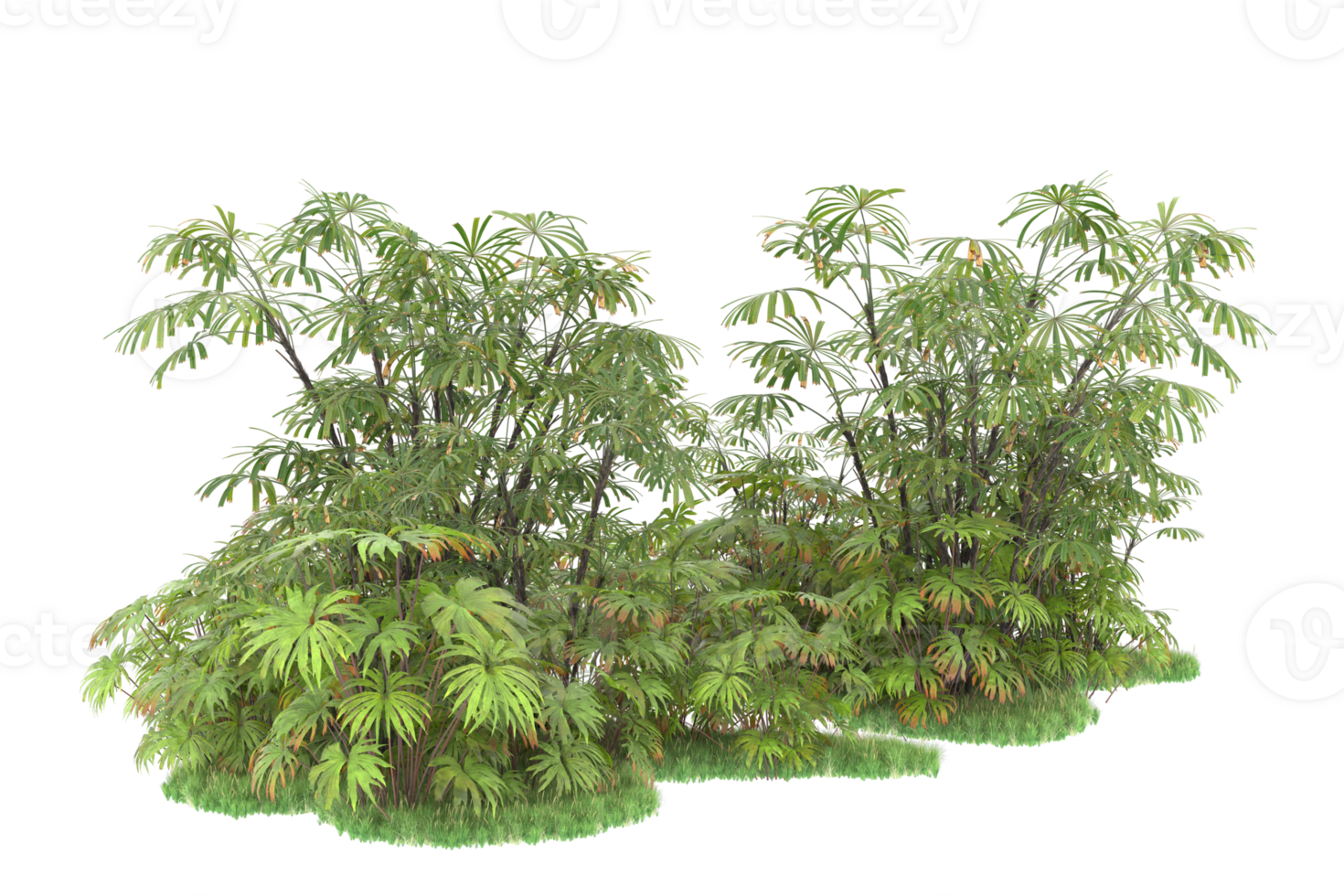 Realistic forest isolated on transparent background. 3d rendering - illustration png