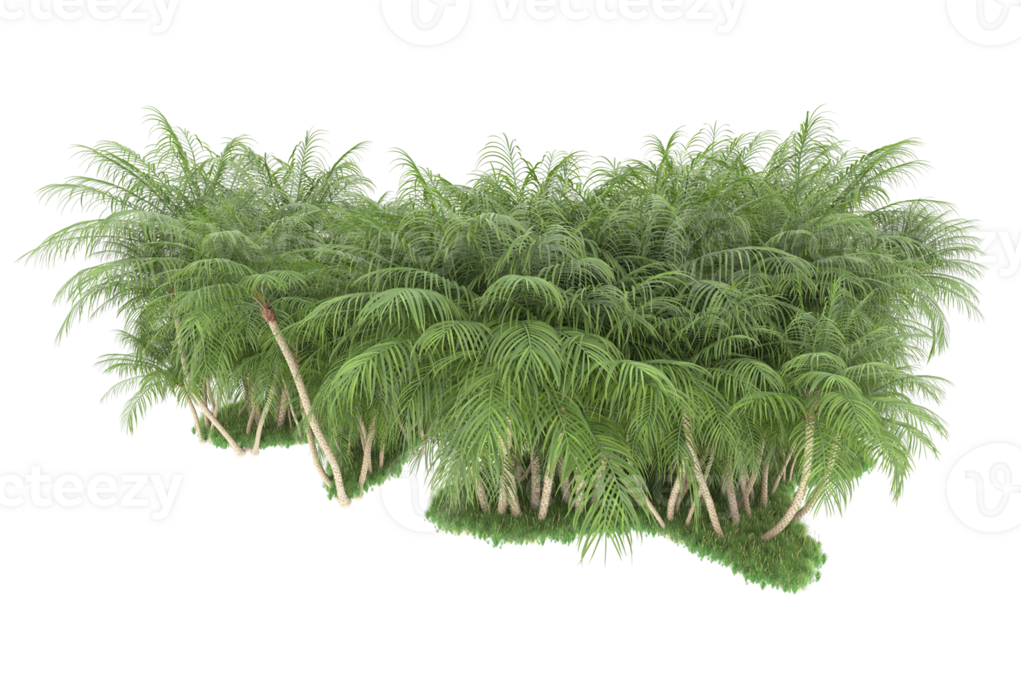 Realistic forest isolated on transparent background. 3d rendering - illustration png