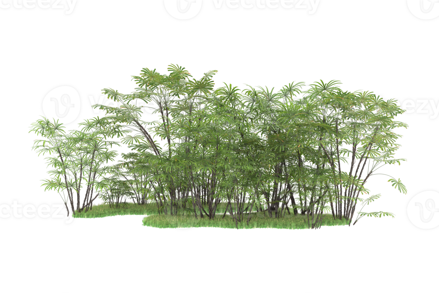 Realistic forest isolated on transparent background. 3d rendering - illustration png