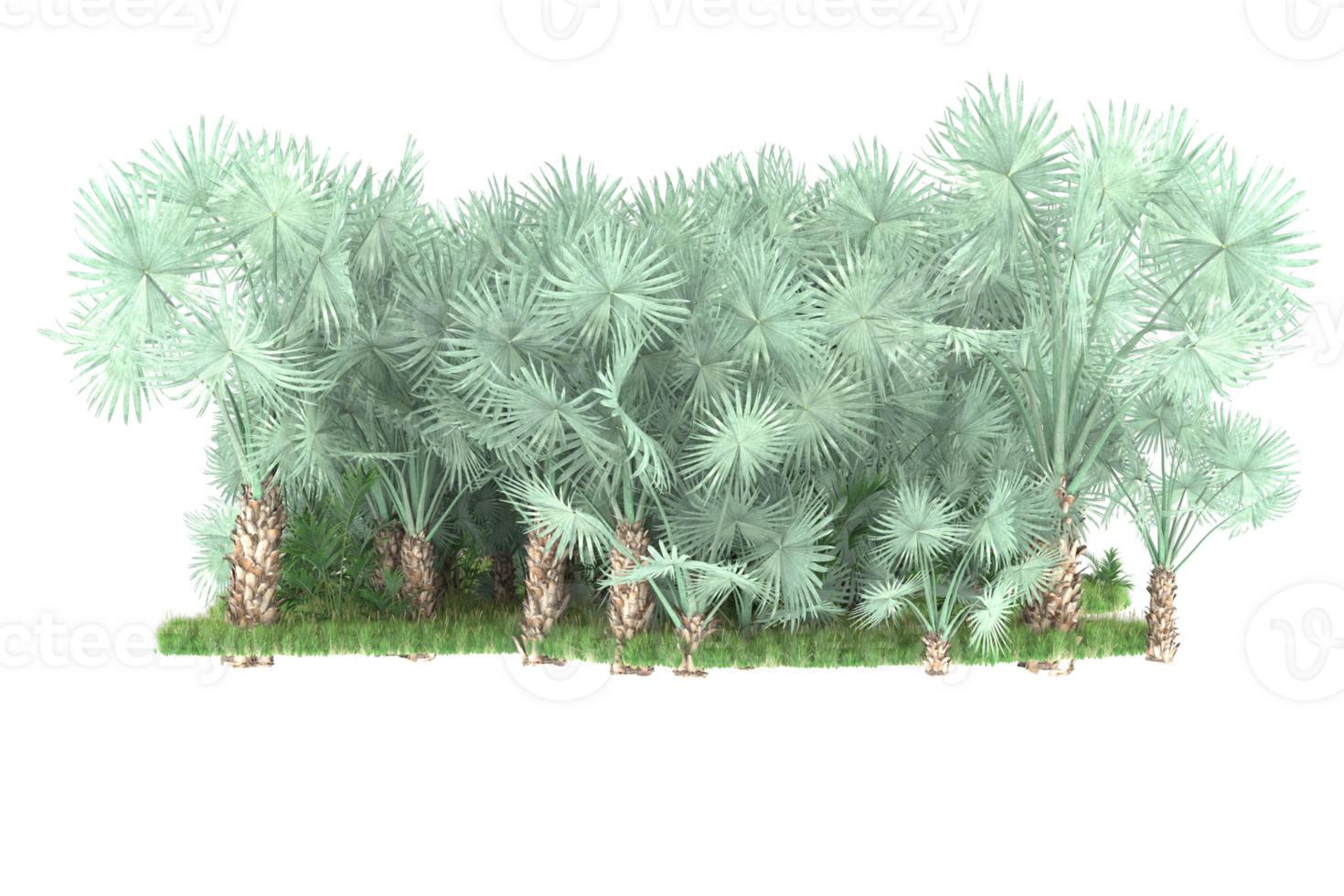 Realistic forest isolated on transparent background. 3d rendering - illustration png