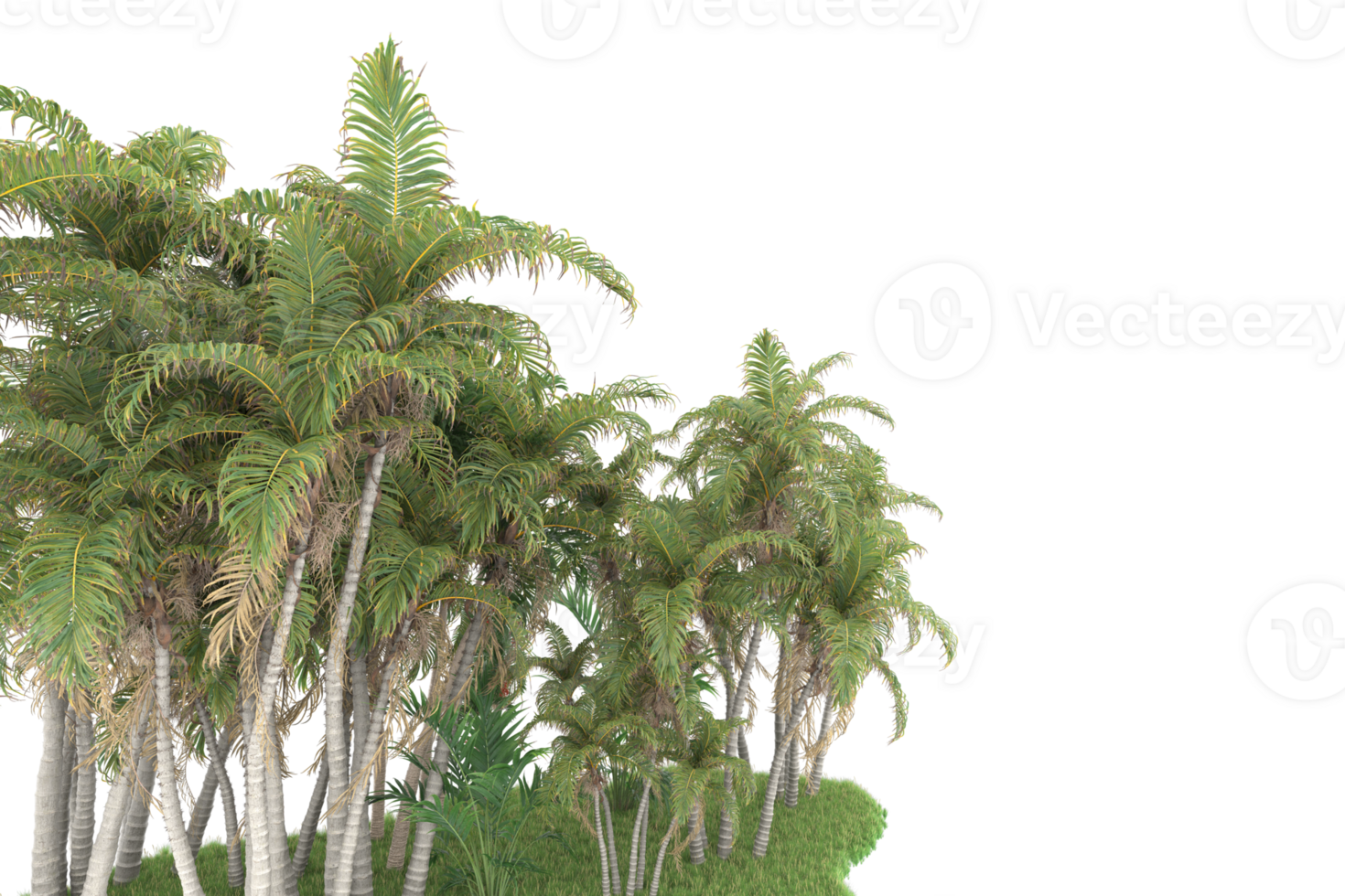 Realistic forest isolated on transparent background. 3d rendering - illustration png
