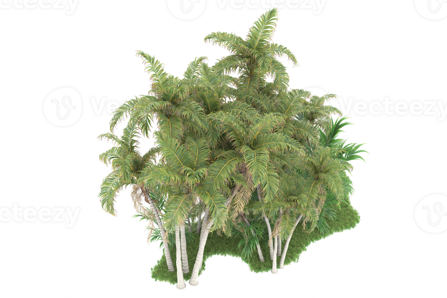 Realistic forest isolated on transparent background. 3d rendering - illustration png