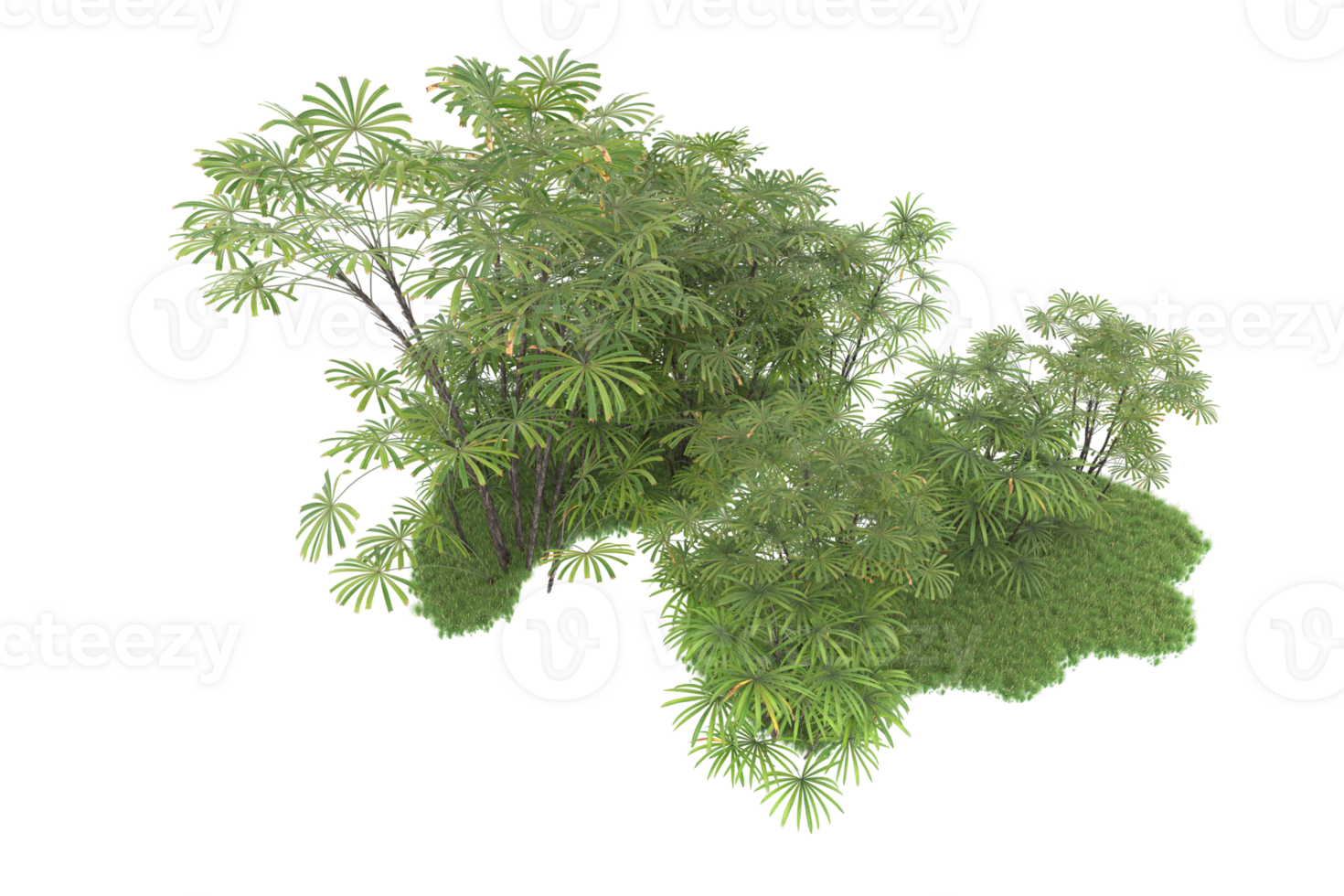 Realistic forest isolated on transparent background. 3d rendering - illustration png
